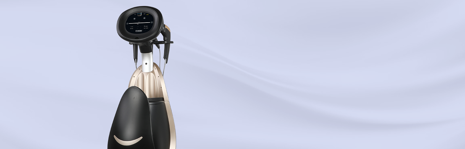 AYJ-TN01 Face firming, Wrinkle Removal and anti-aging instrument has ten probes